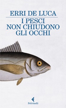 I pesci non chiudono gli occhi nelle pagine di Erri De Luca